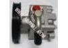 Power Steering Pump:49110-7N900
